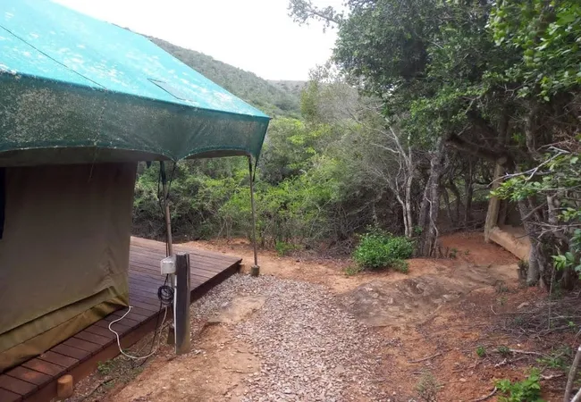 coombs-view-tented-camp-grahamstown-frontier-country-fpw8a