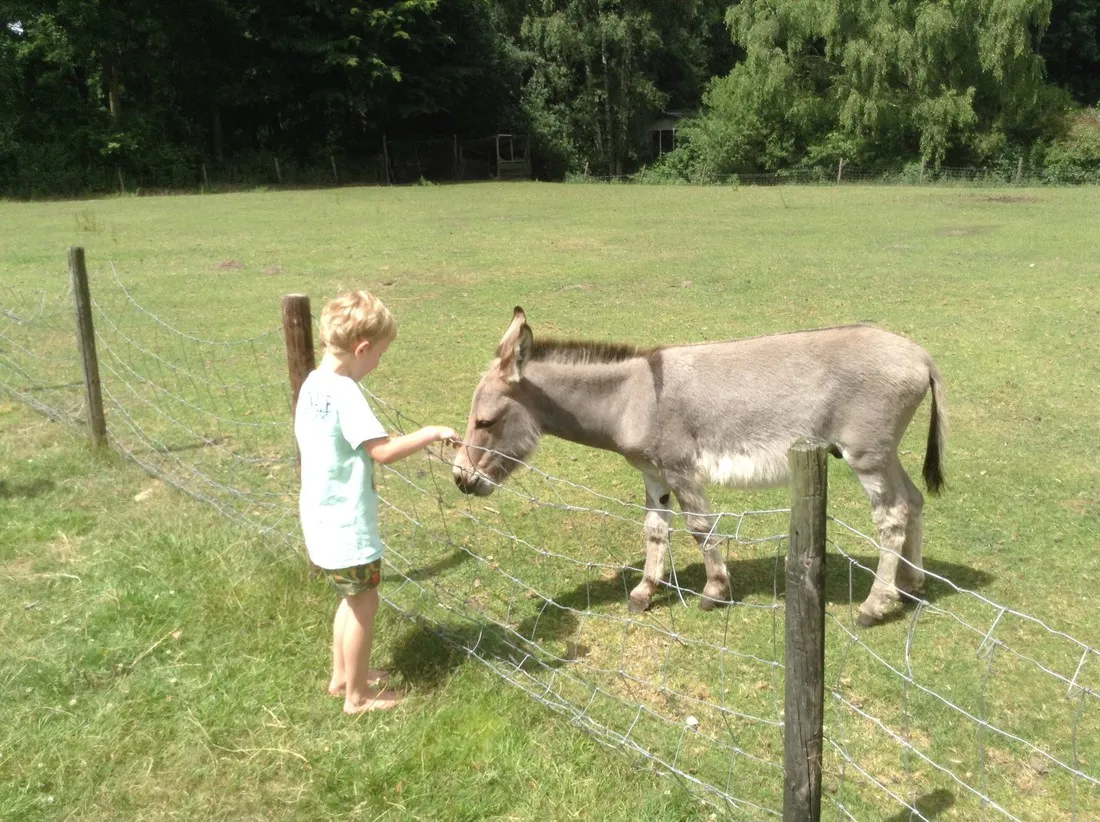 en-kampeerboerderij-t-boerenerf-woudenberg-aczte