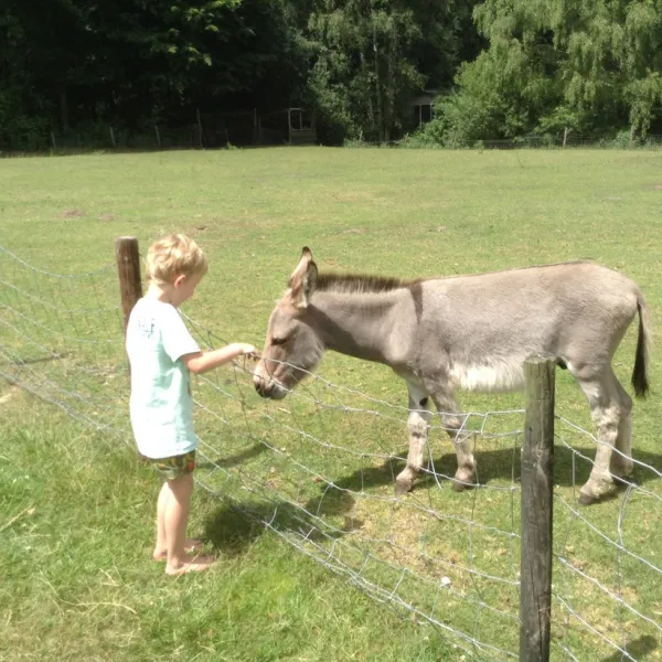en-kampeerboerderij-t-boerenerf-woudenberg-aczte