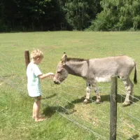 en-kampeerboerderij-t-boerenerf-woudenberg-aczte