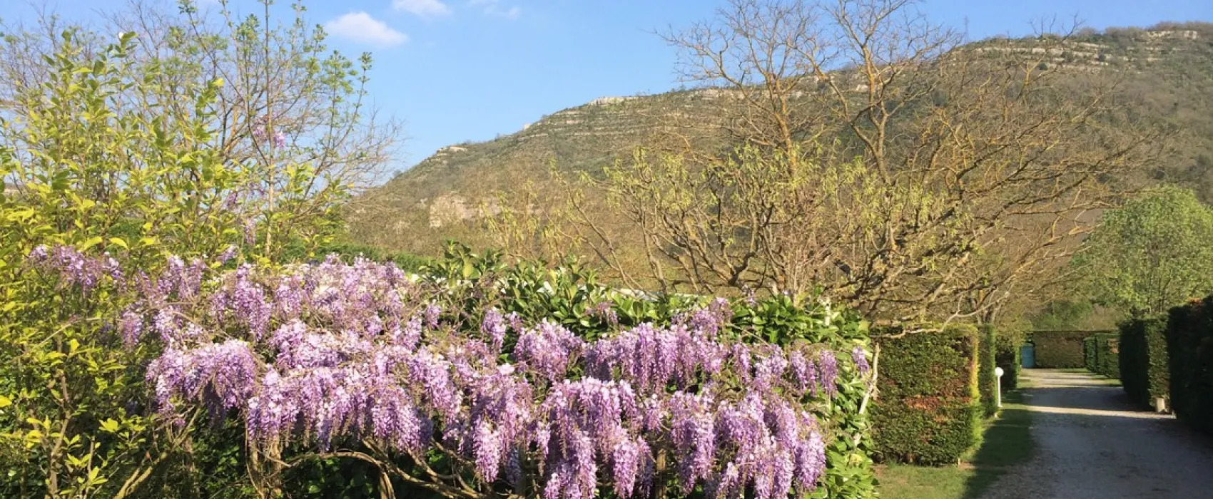 L'Albanou