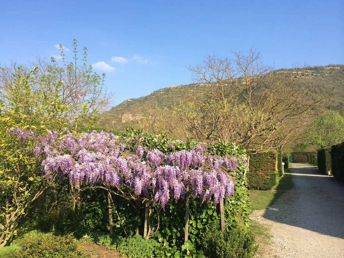 lalbanou-st-julien-en-saint-alban-ardeche-pelzq