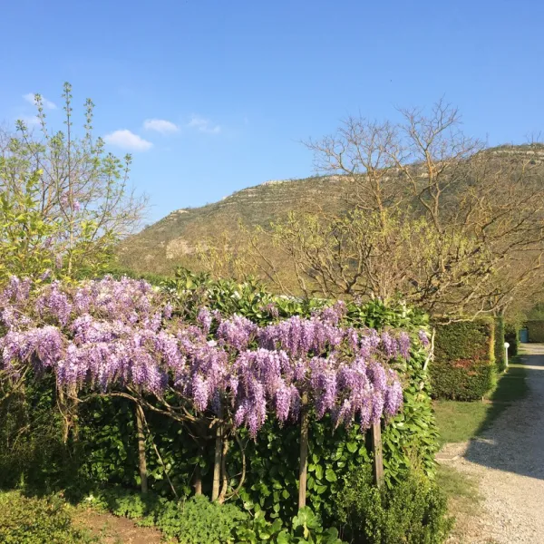 lalbanou-st-julien-en-saint-alban-ardeche-pelzq