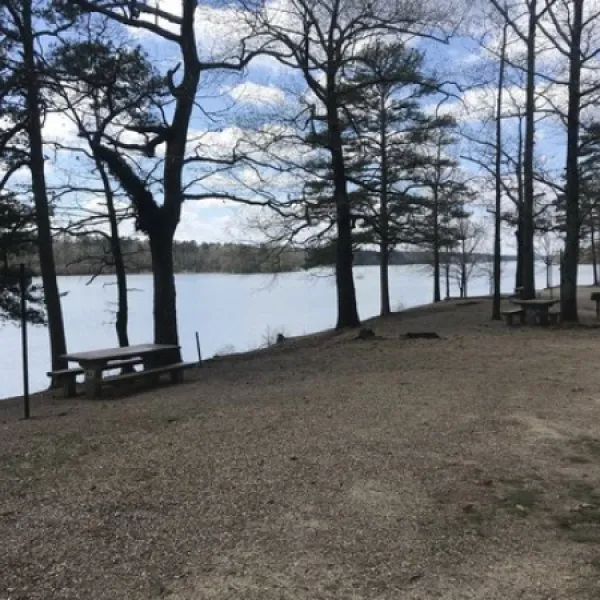bear-creek-campground-kirby-d4pim
