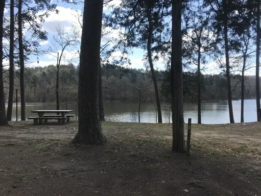 bear-creek-campground-kirby-nekv5