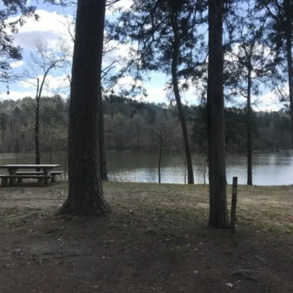bear-creek-campground-kirby-nekv5