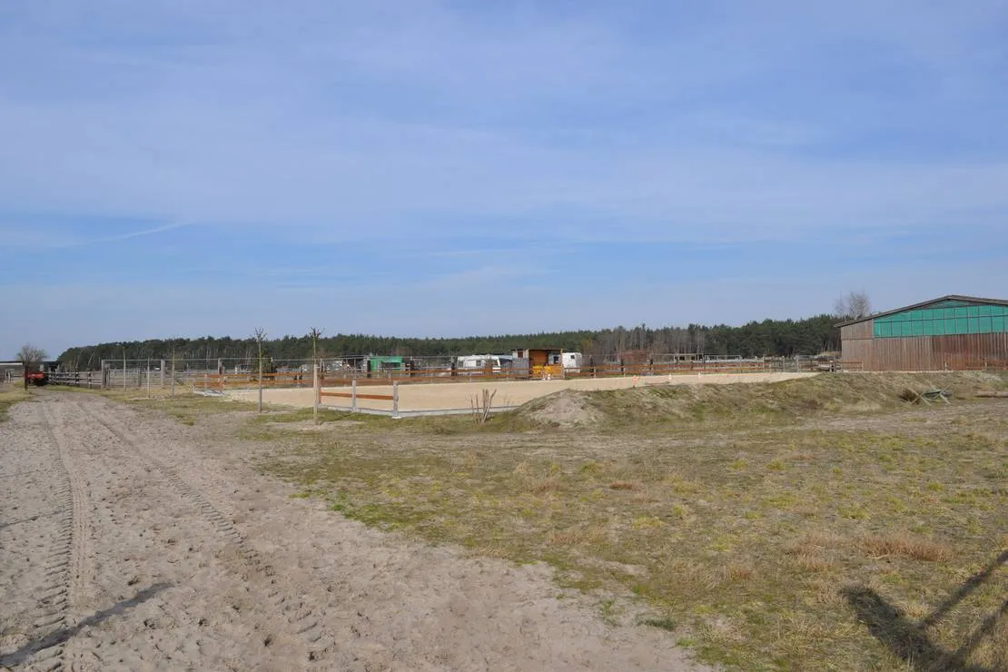pension-campingplatz-gartenidylle-beelitz-ot-buchholz-jxjr7