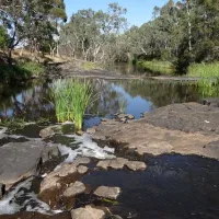 wannon-falls-campground-wannon-3k7ob