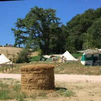 Suasa