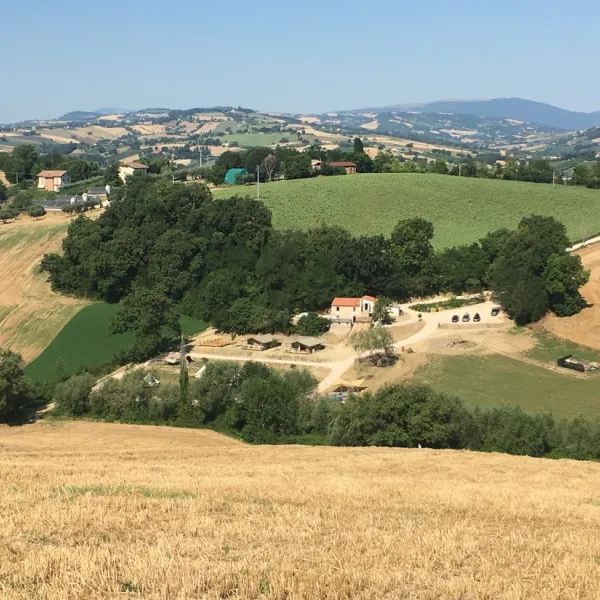suasa-castelleone-di-suasa-jna2h