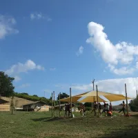 suasa-castelleone-di-suasa-tikl3