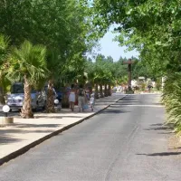 campeole-domaine-les-muriers-vendres-plage-0r3gd