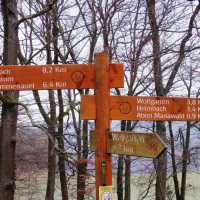 camping-schafbachmuhle-schleiden-harperscheid-hksap