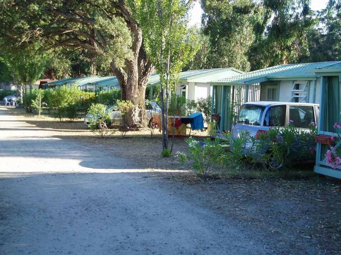 cote-des-nacres-sarisolenzarafavone-ssqpa
