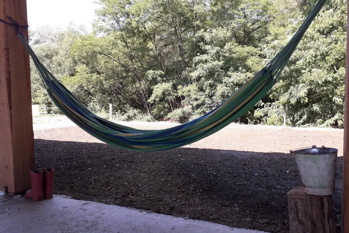 camping-zori-cloasterfsaschiz-mtytx