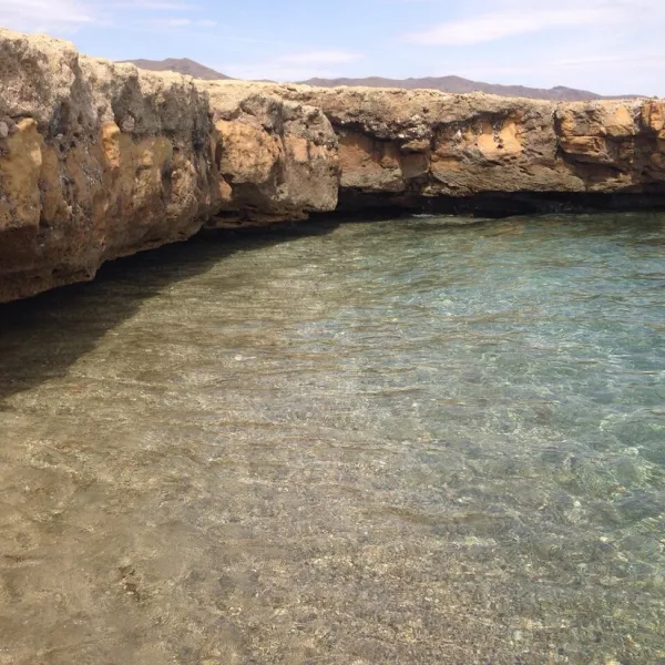 bella-vista-aguilas-nabnj