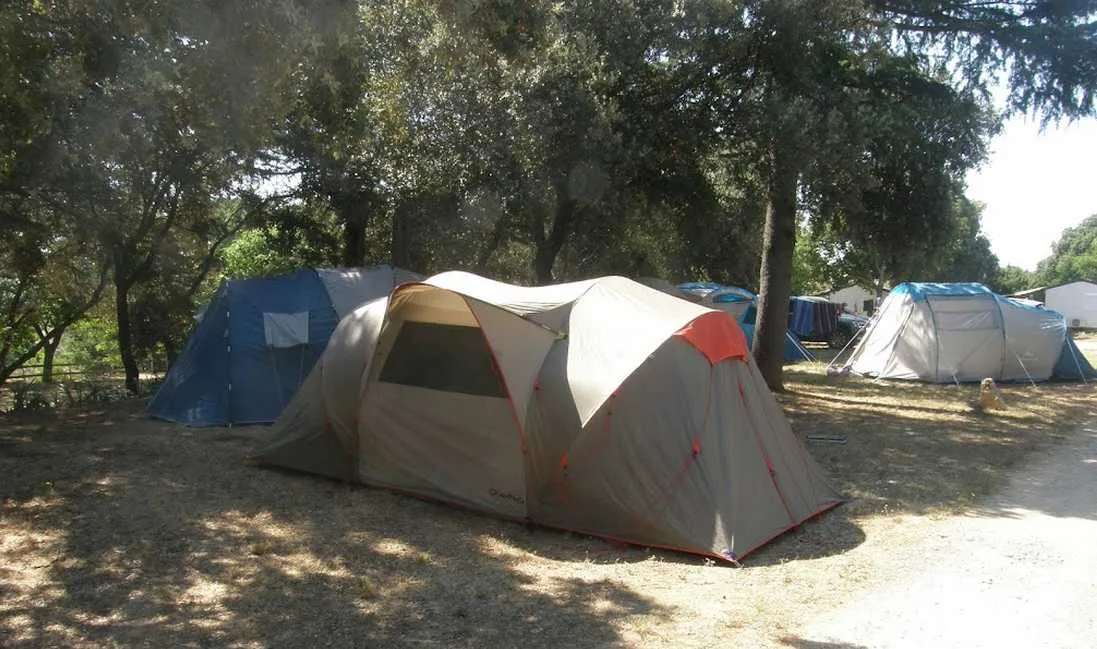 les-truffieres-st-marcel-dardeche-ardeche-bla8j