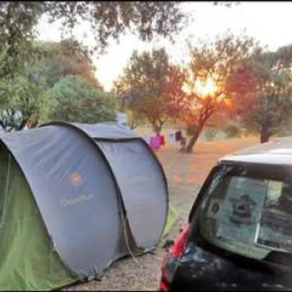 les-truffieres-st-marcel-dardeche-ardeche-q8iee
