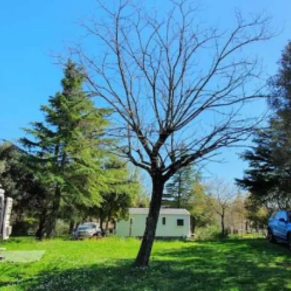 les-truffieres-st-marcel-dardeche-ardeche-xljyx
