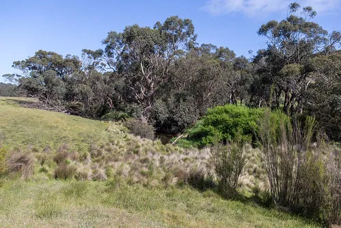 seven-creeks-reserve-campground-cbum9