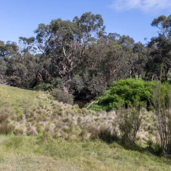 seven-creeks-reserve-campground-cbum9