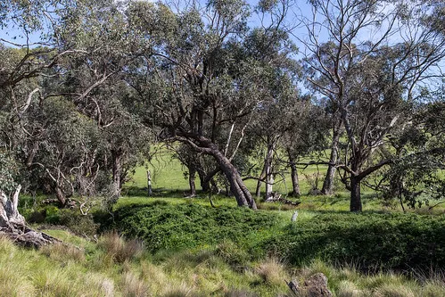seven-creeks-reserve-campground-ijszx