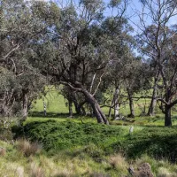 seven-creeks-reserve-campground-ijszx