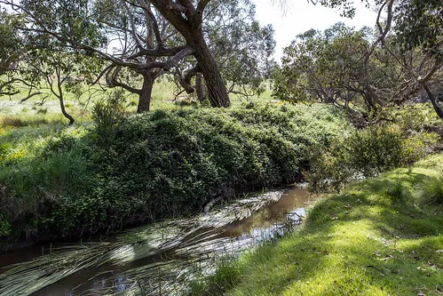 seven-creeks-reserve-campground-nrras