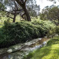 seven-creeks-reserve-campground-nrras