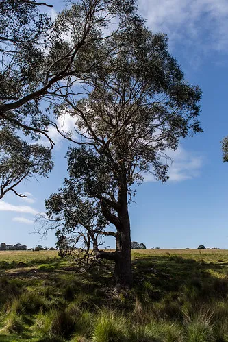 seven-creeks-reserve-campground-xftcz