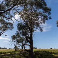 seven-creeks-reserve-campground-xftcz