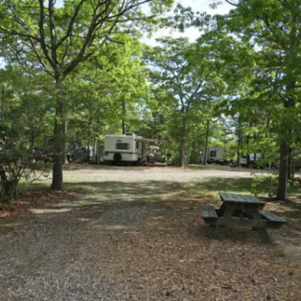 atlantic-oaks-campground-eastham-ufxy8