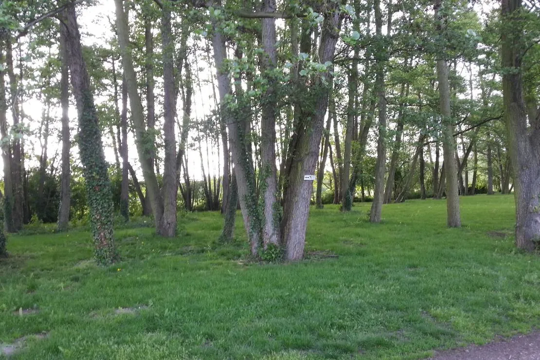 camping-des-etangs-de-marsalin-vert-en-drouais-eyxel