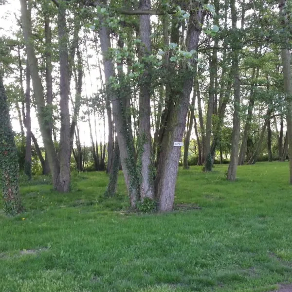 camping-des-etangs-de-marsalin-vert-en-drouais-eyxel