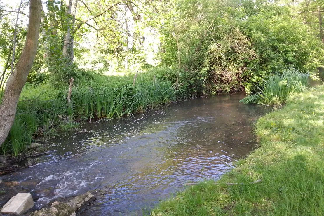 camping-des-etangs-de-marsalin-vert-en-drouais-lnlt1