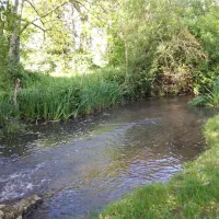 camping-des-etangs-de-marsalin-vert-en-drouais-lnlt1