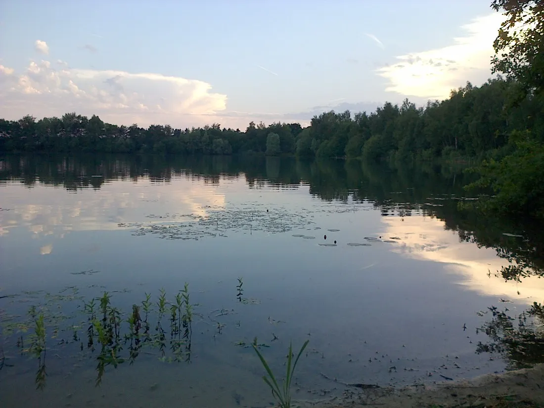 klein-frankrijk-leende-eiows