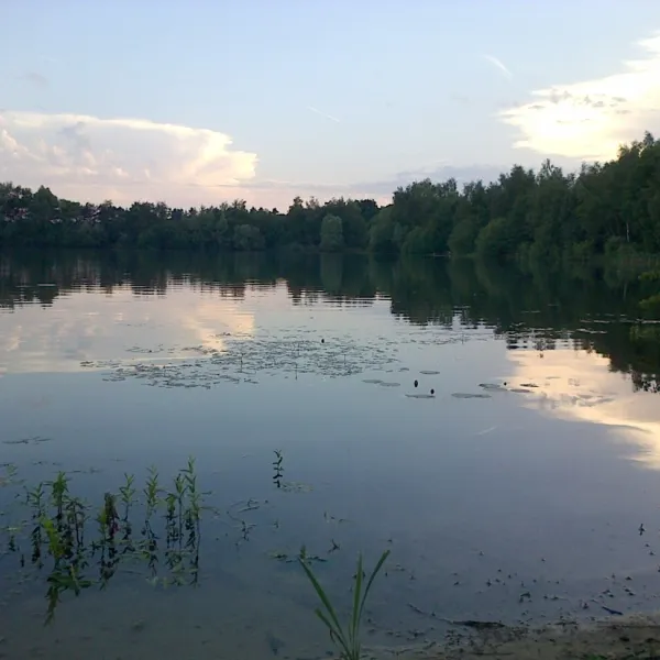klein-frankrijk-leende-eiows