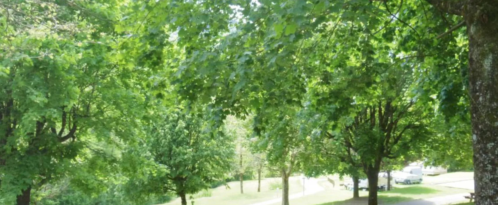 Camping des Grands Champs