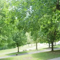 camping-des-grands-champs-saint-hippolyte-8oolt
