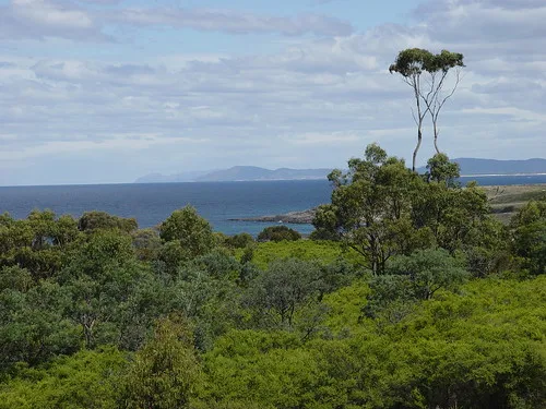 little-beach-campground-bouddi-3tr8b