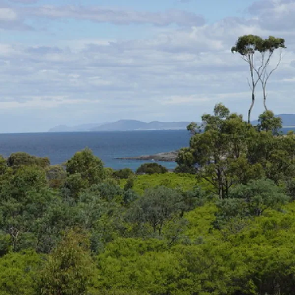 little-beach-campground-bouddi-3tr8b