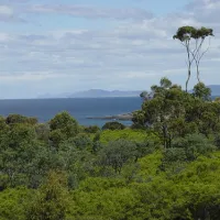 little-beach-campground-bouddi-3tr8b