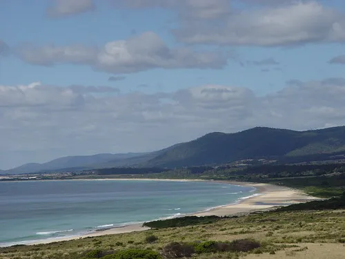 little-beach-campground-bouddi-rtbm6