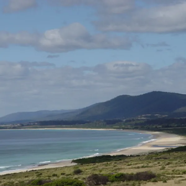 little-beach-campground-bouddi-rtbm6