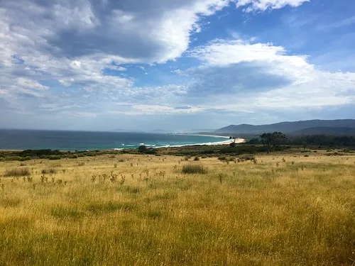 little-beach-campground-bouddi-tr6v2
