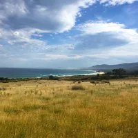 little-beach-campground-bouddi-tr6v2