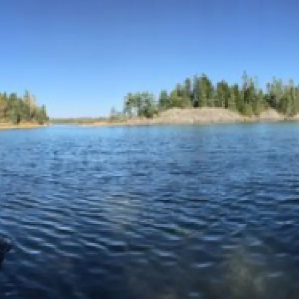 Cobscook Bay State Park