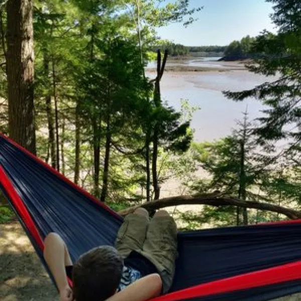 Cobscook Bay State Park
