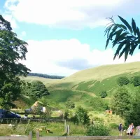 Willow Springs Campsite